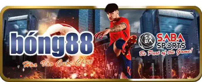Tiền Thưởng Hấp Dẫn